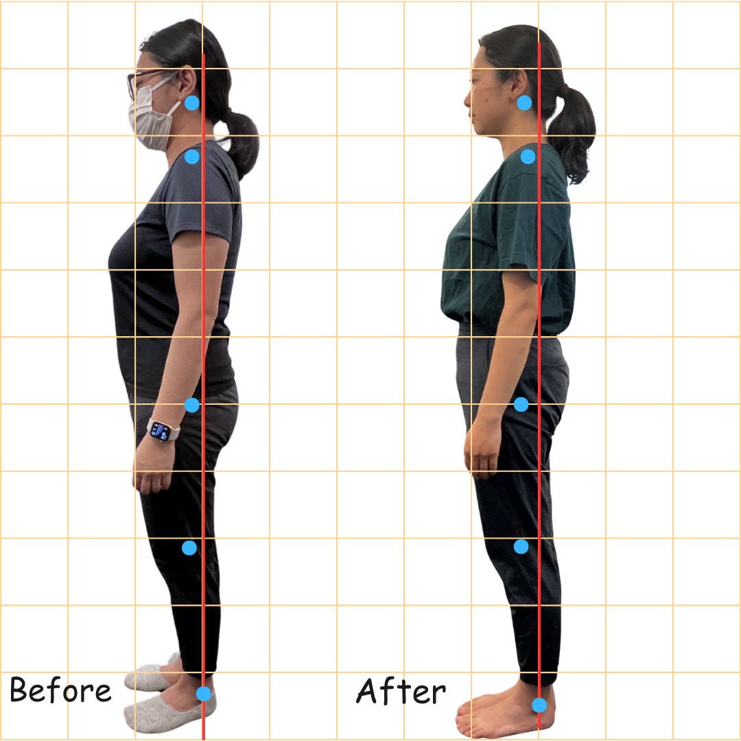 姿勢とお腹まわりのシルエットの変化