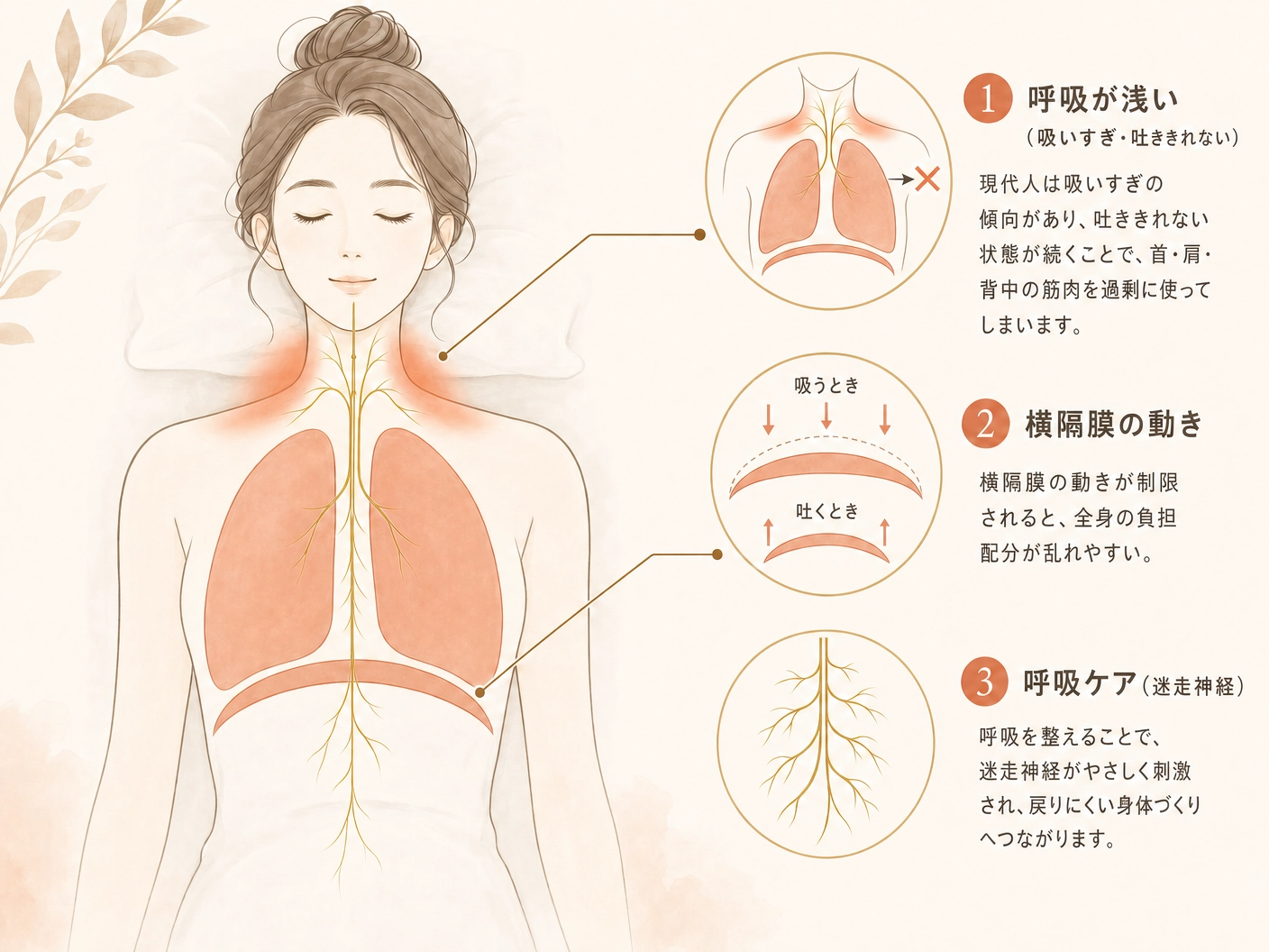 慢性痛の解剖図